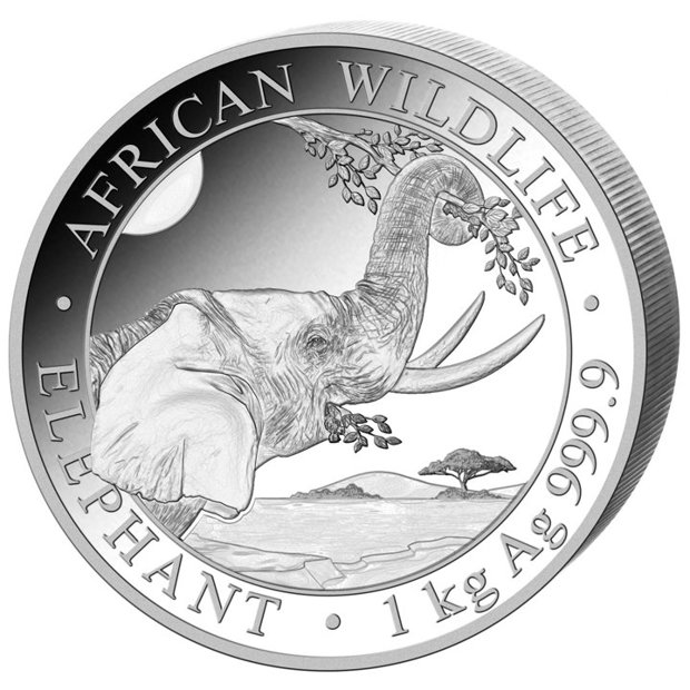 African Wildlife Somalia Elephant G Silber Metal Market Europe