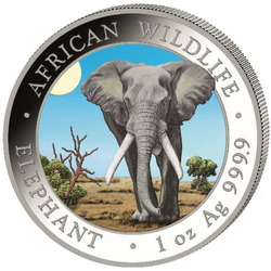 African Wildlife: Somalia Elephant "Day" coloured 1 oz Silver 2025