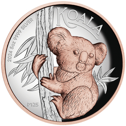 Australian Koala 5 oz Silver 2024 Proof High Relief Gilded Coin