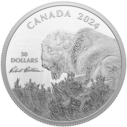 Canada: Weather Watch - Bison $30 Silver 2024 Proof Coin 