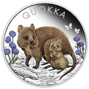 Quokka kolorowana 1 uncja Srebra 2022 Proof