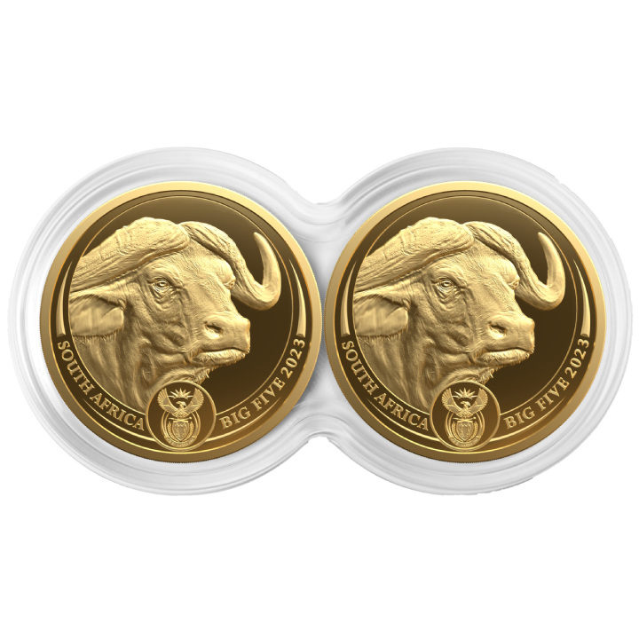 Big Five II: Buffalo - Double Capsule - Set 2 x 1/4 oz Gold 2023 Proof