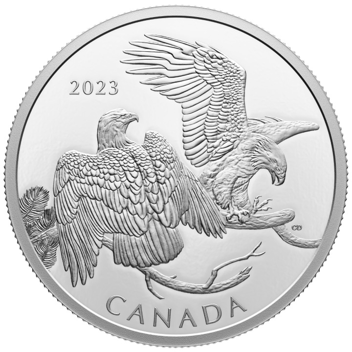 Canada: The Striking Bald Eagle $30 Silver 2023 Proof Coin 