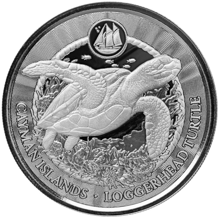 Cayman Islands: Loggerhead Turtle 1 oz Silver 2024 Prooflike 