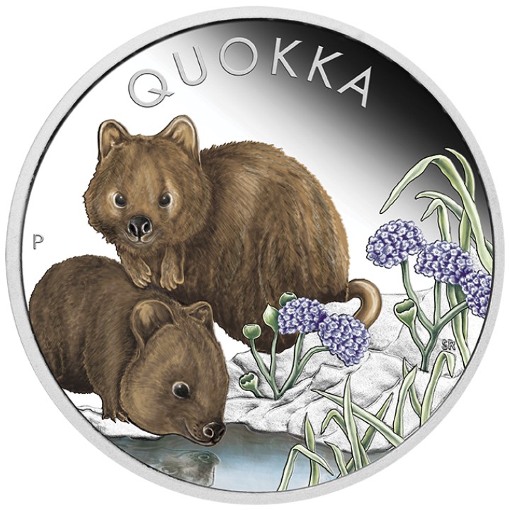 Quokka coloured 1 oz Silver 2023 Proof