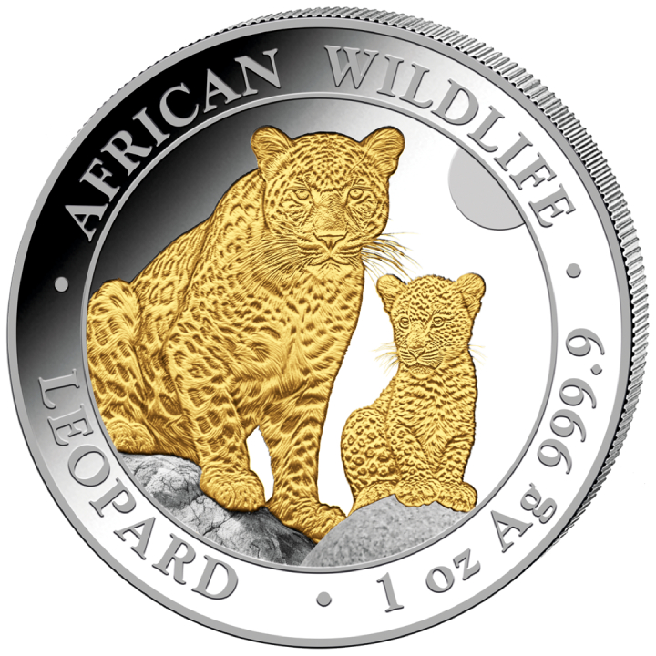 Somalia: African Wildlife - Leopard 1 oz Silver 2024 Gilded 