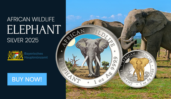 Somali Elephant EN