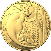 RAM : Kangaroo 1/10 oz Gold 2022 Proof