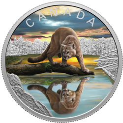 Canada: Wildlife Reflections - Cougar coloured $20 Silver 2024 Proof Coin