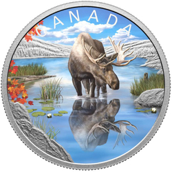 Canada: Wildlife Reflections - Moose coloured $20 Silver 2024 Proof Coin