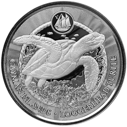 Cayman Islands: Loggerhead Turtle 1 oz Silver 2024 Prooflike