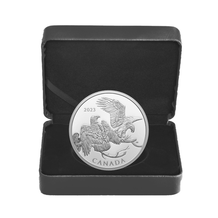 Canada: The Striking Bald Eagle $30 Silver 2023 Proof Coin 