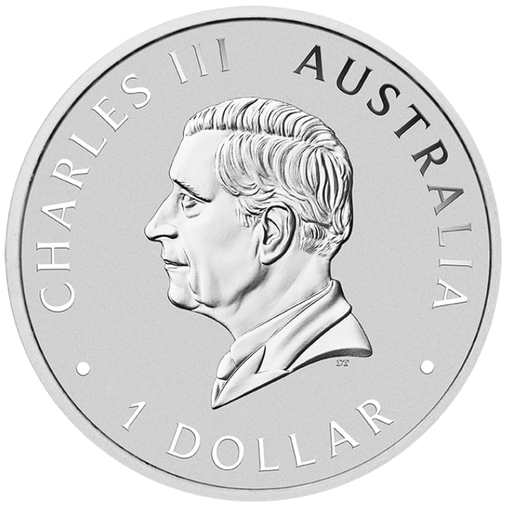 Australian Brumby coloured 1 oz Silver 2024