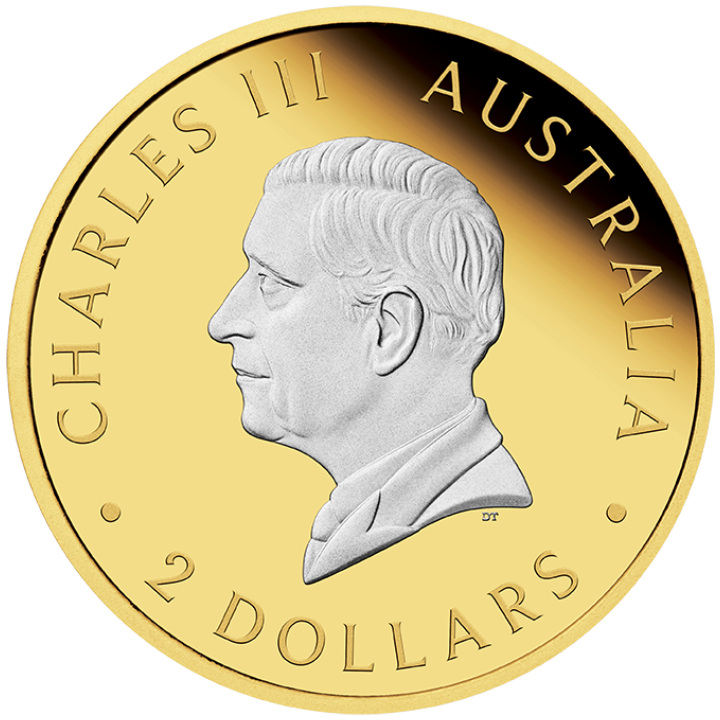 Australian Kangaroo 2 oz Silver 2024 Gilded Coin