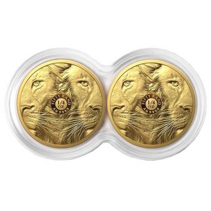 Big Five II: Lion Set 2 x 1/4 ounce Gold 2022 Proof