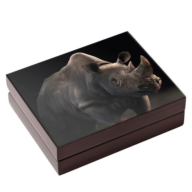 Big Five II: Rhino Set 2 x 1/4 oz Gold 2022 Proof