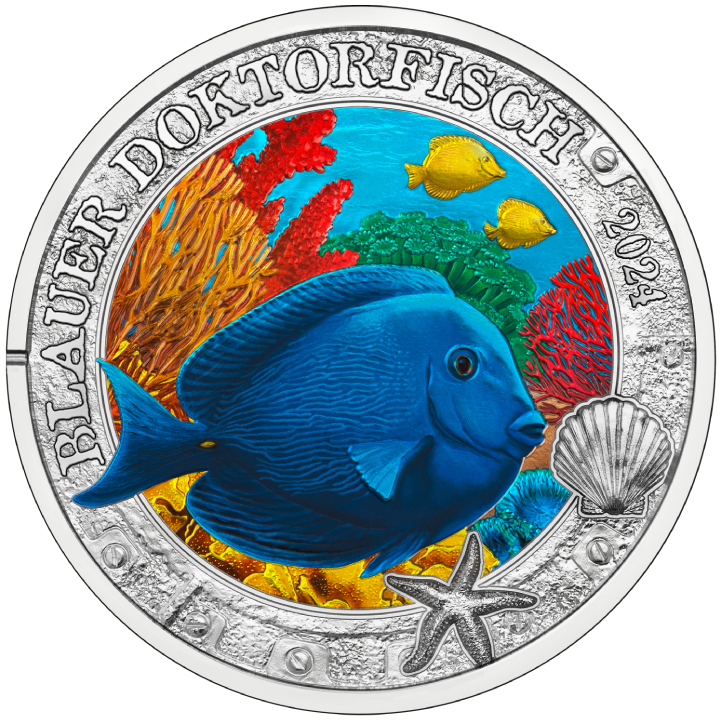 Blue Doctorfish colored 3 Euro Copper 2024