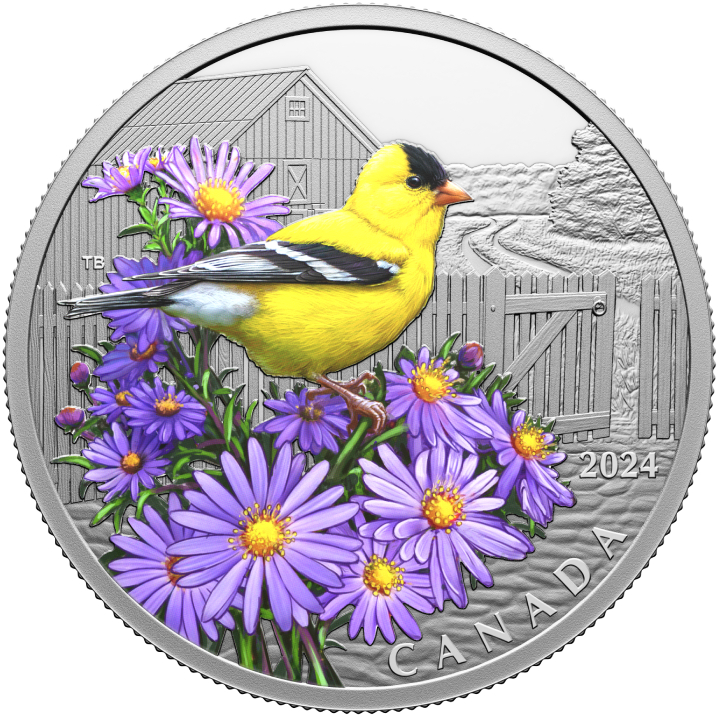 Canada: Colourful Birds - American Goldfinch coloured $20 Silver 2024 Proof 