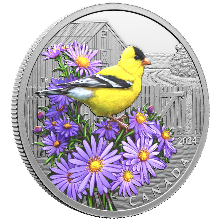 Canada: Colourful Birds - American Goldfinch coloured $20 Silver 2024 Proof 