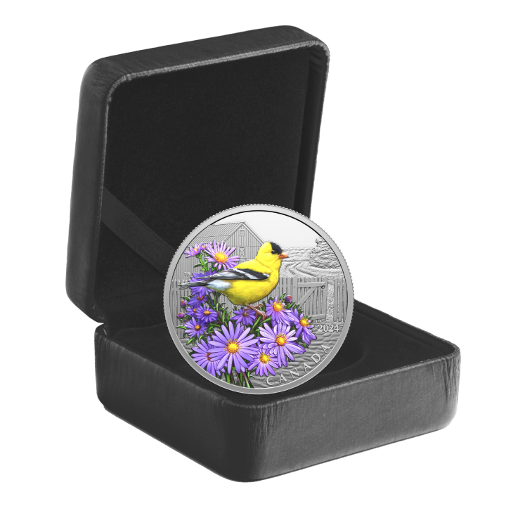 Canada: Colourful Birds - American Goldfinch coloured $20 Silver 2024 Proof 