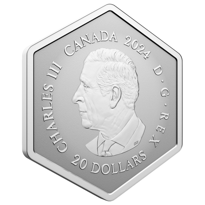 Canada: Snowflake $20 Silver 2024 Reverse Proof 