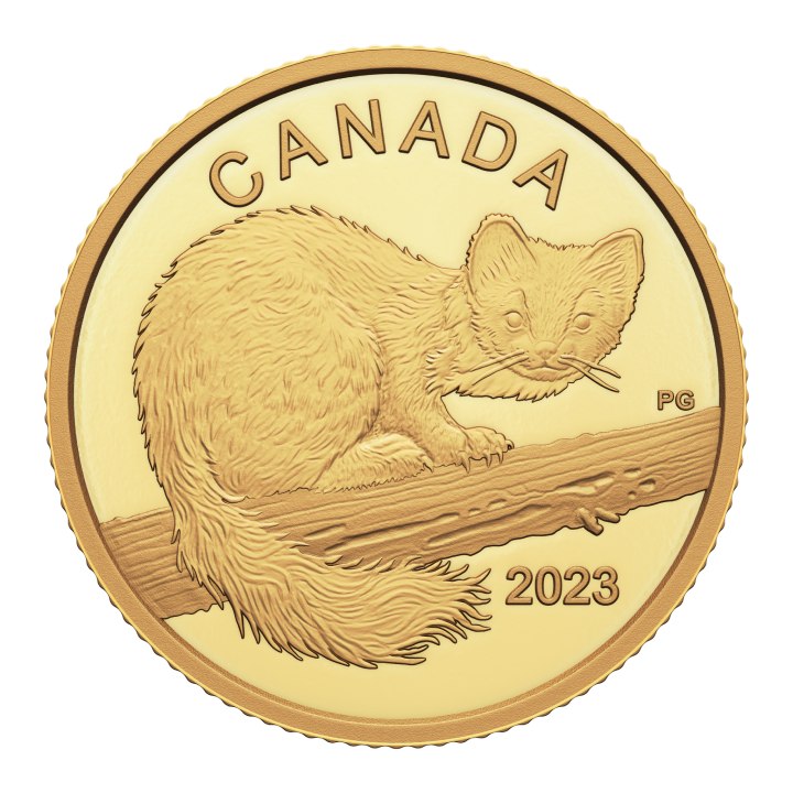 Canada: The Curious Marten $10 Gold 2023 Proof 