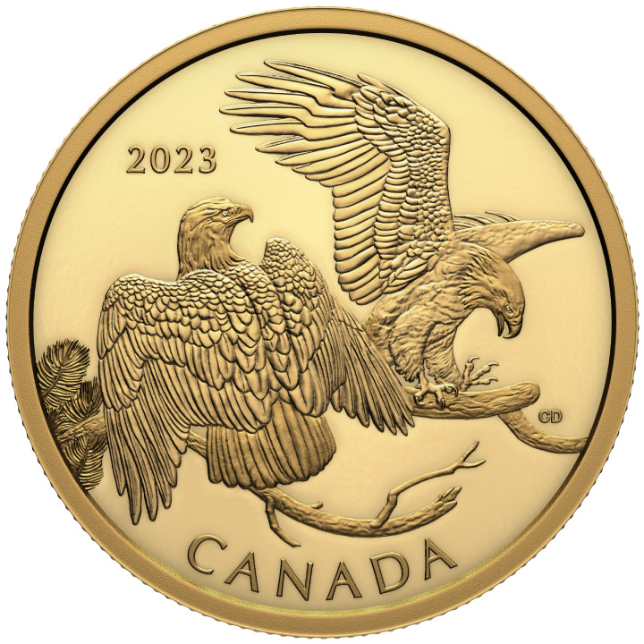 Canada: The Striking Bald Eagle $200 Gold 2023 Proof 