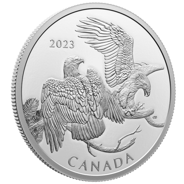 Canada: The Striking Bald Eagle $30 Silver 2023 Proof