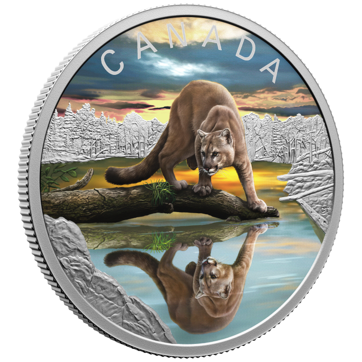 Canada: Wildlife Reflections - Cougar coloured $20 Silver 2024 Proof Coin