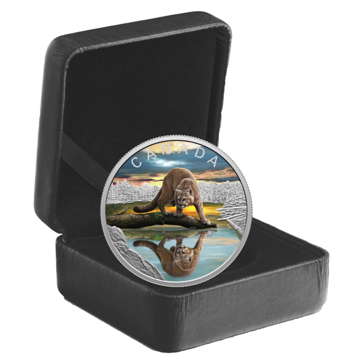 Canada: Wildlife Reflections - Cougar coloured $20 Silver 2024 Proof Coin