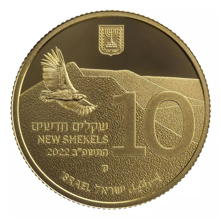 Gamla And The Vultures 10 NIS Gold 2022 Proof 