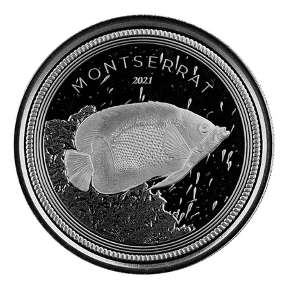 Montserrat Blue Girdled Angelfish 1 oz Silver 2021