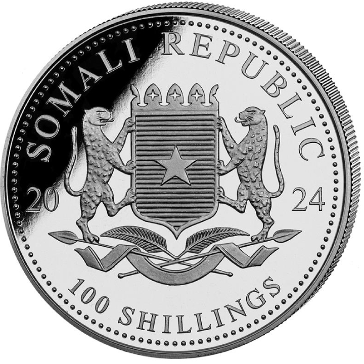 Somalia: African Wildlife - Leopard 1 oz Silver 2024