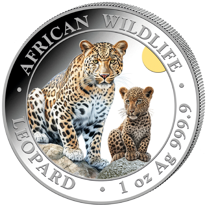 Somalia: African Wildlife - Leopard coloured 1 oz Silver 2024