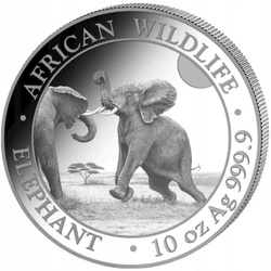 African Wildlife: Somali Elephant 10 oz Silver 2024