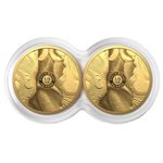 Big Five II: Rhino Set 2 x 1/4 oz Gold 2022 Proof