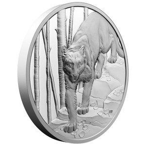 Canada: Great Hunters - Grizzly Bear $20 Silver 2023 Proof Ultra High Relief Coin