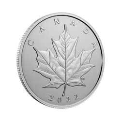 Canada: Moments to Hold - Your Canadian Story 1/4 oz Silver 2022 Specimen 