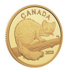 Canada: The Curious Marten $10 Gold 2023 Proof 