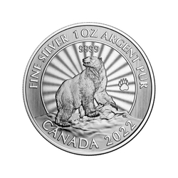 Canada: The Majestic Polar Bear 1 oz Silver 2022 (in card)