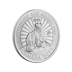 Canada: The Majestic Polar Bear 1 oz Silver 2022 (in card)