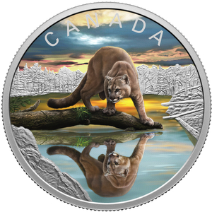 Canada: Wildlife Reflections - Cougar coloured $20 Silver 2024 Proof Coin