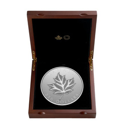 Canadian Maple Leaf $250 Silver 2024 Reverse Proof