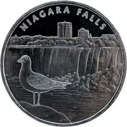 Niagara Falls 1 oz Silver Round