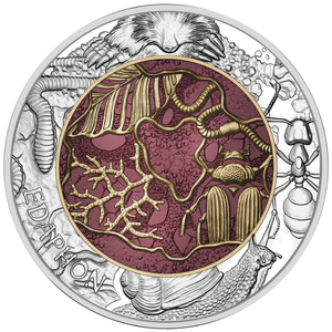 Niobium Series: Edaphon coloured 25 Euro Silver 2024