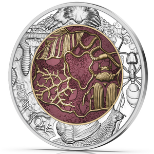 Niobium Series: Edaphon coloured 25 Euro Silver 2024