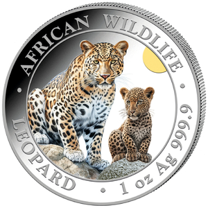 Somalia: African Wildlife - Leopard coloured 1 oz Silver 2024