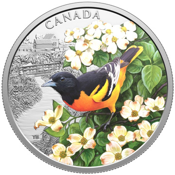 Canadá: Aves Coloridas – Oriole de Baltimore Coloreado $20 Plata 2025 Proof