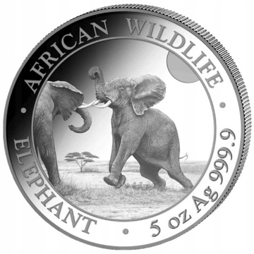 Fauna Africana: Elefante Somalí 5 oz Plata 2024