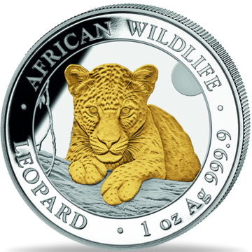 Somalia: Fauna Africana - Leopardo Chapado en Oro 1 Onza de Plata 2025